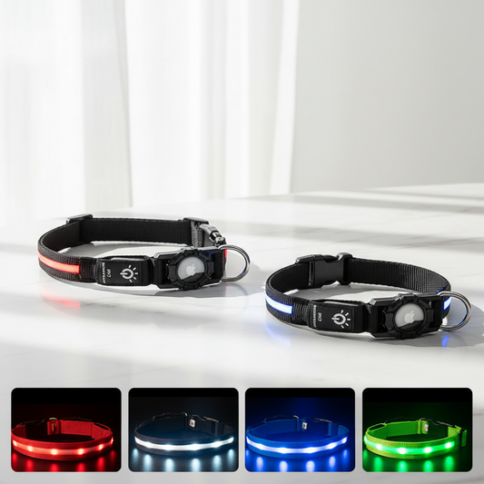 LED Dog Collar - Premium Hero